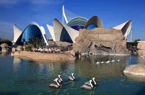 全球六个最大的水族馆，真是梦幻的“