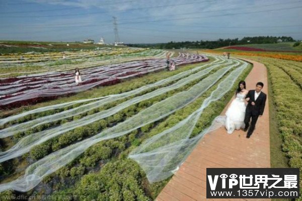 世界上最长的婚纱,中国婚纱长达410